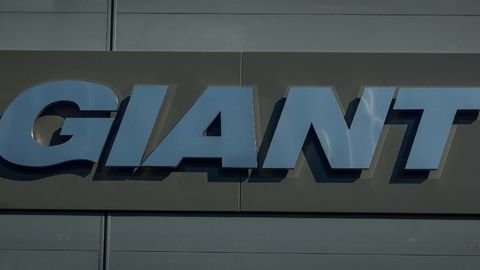 Giant Quimper - Photo 2