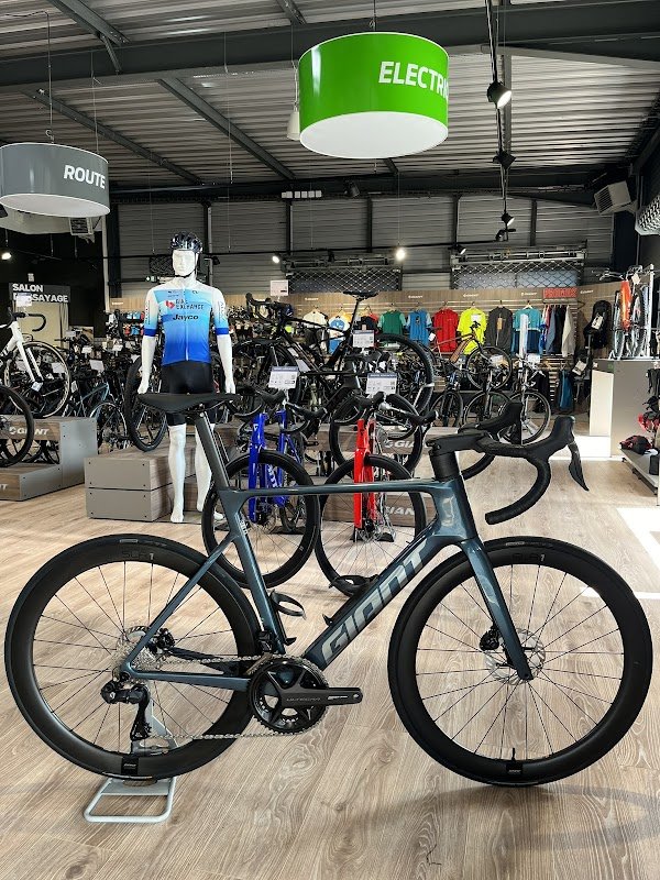 Giant Quimper - Photo 3