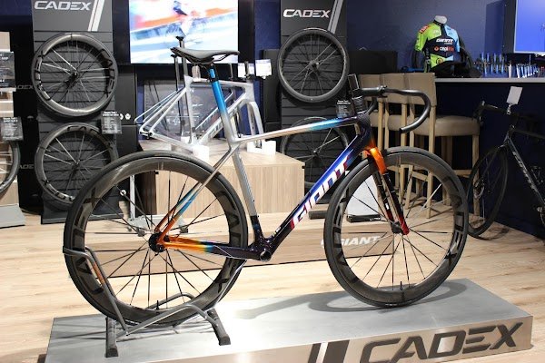 Giant Quimper - Photo 4