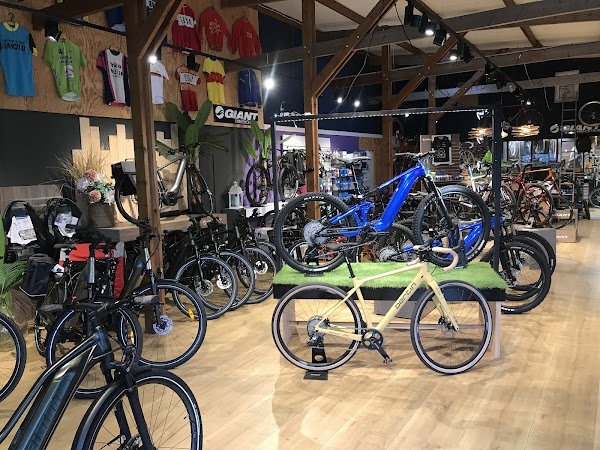 Cycles Manu Scotet - GIANT Pont L’Abbé - Photo 4