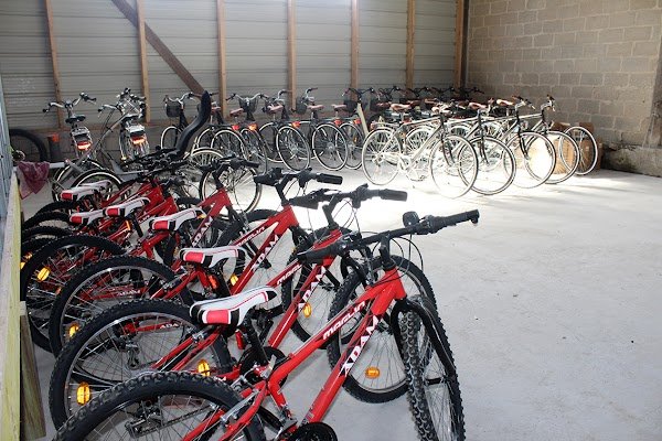 Ty Cycles Locations - Photo 3