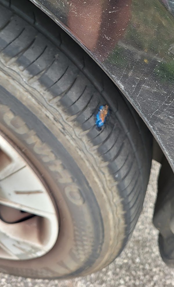 Garage Burel - Point S - Douarnenez - Photo 3