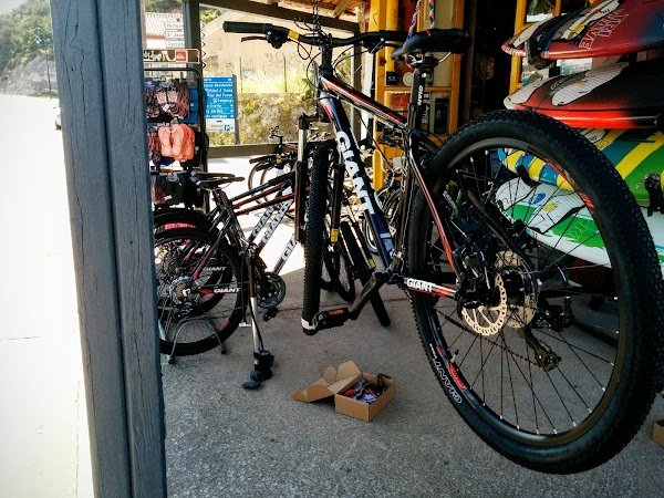 Tam Tam Surf Shop - Photo 3