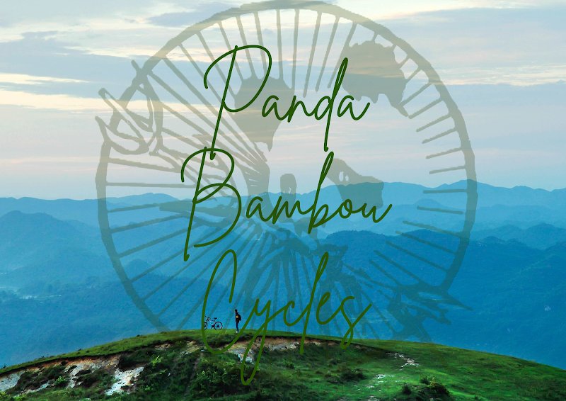 Panda Bambou Cycles - Location de Vélos (Livraison chez vous directement !)