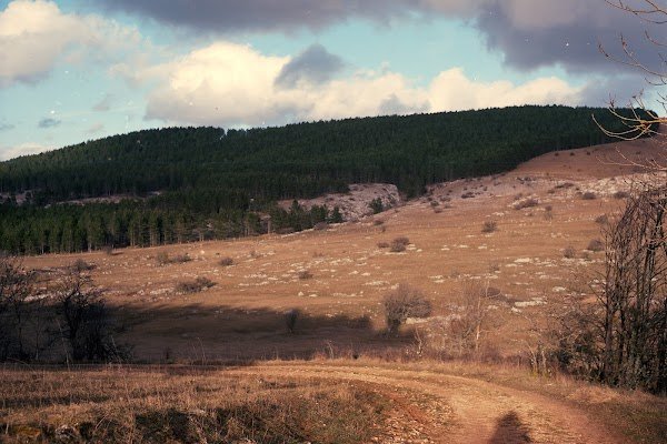 Auguste Handmade Bicycles - Photo 2