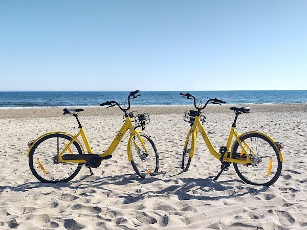 La Vida Loca - Photo 3