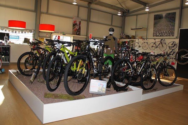 Jolly Cycles - Photo 4