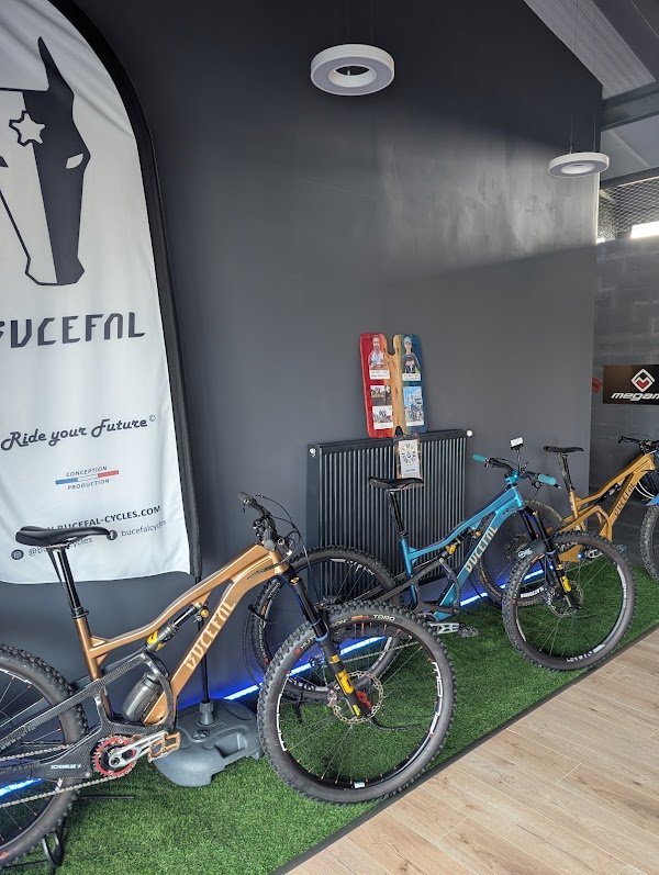 BC industries - Photo 3