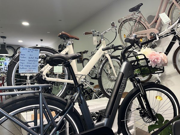 La Bicyclette Verte - Photo 3