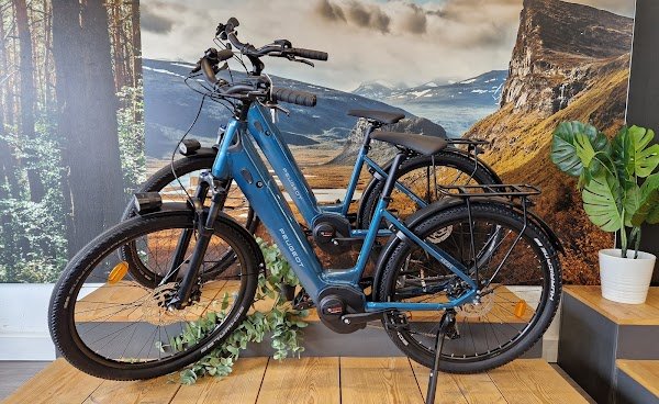 Ovelo the Merignac Power Bike Shop - Photo 2