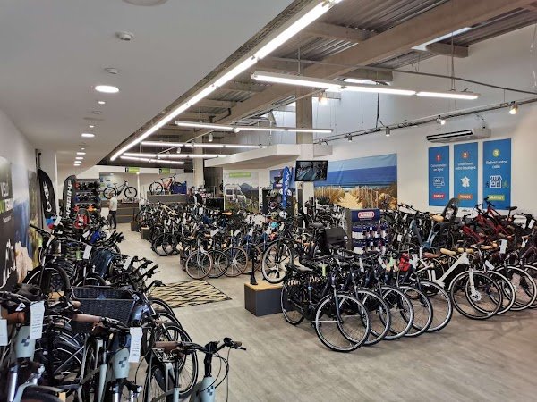 Ovelo the Merignac Power Bike Shop - Photo 4