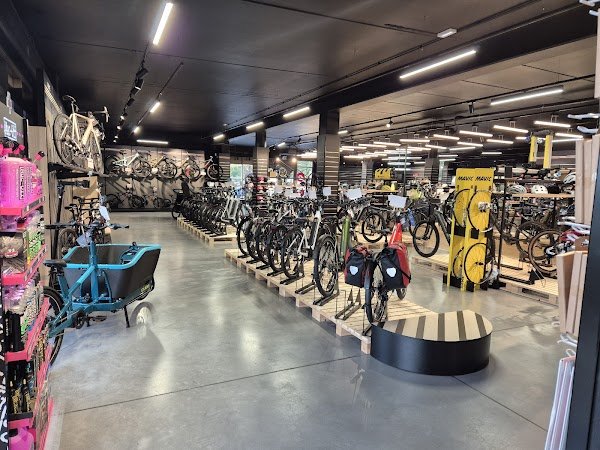 Mondovelo La Teste de Buch - Photo 2