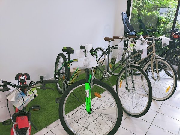 CRIS'BIKE HOLLANDBIKES - Photo 2