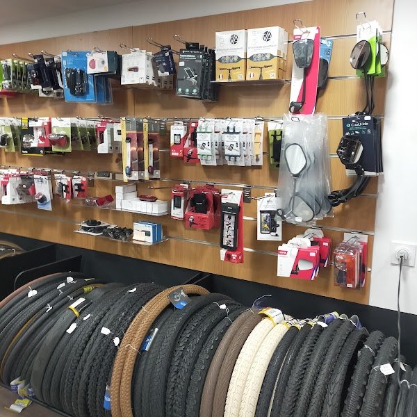 CRIS'BIKE HOLLANDBIKES - Photo 4