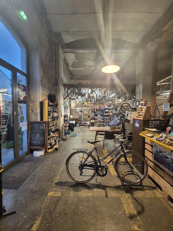 Ecocycle Darwin - Photo 2