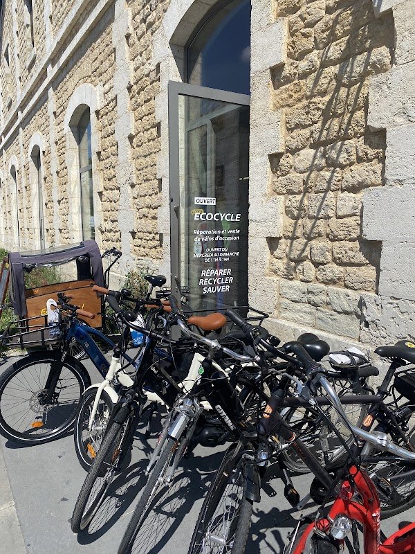 Ecocycle Darwin - Photo 4