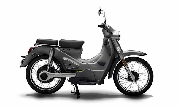 Vehrts Bleu Company - Photo 2