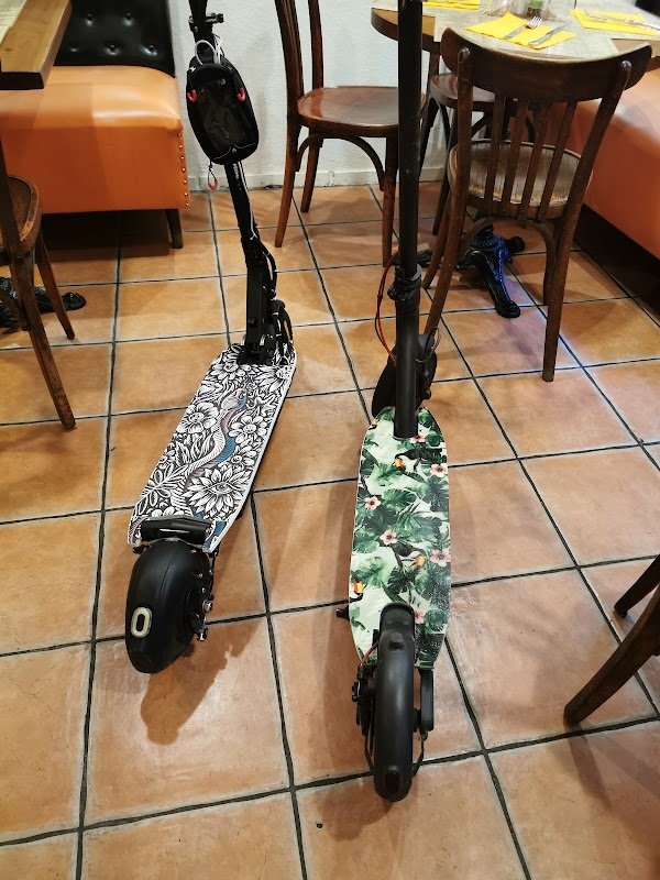 Vehrts Bleu Company - Photo 3