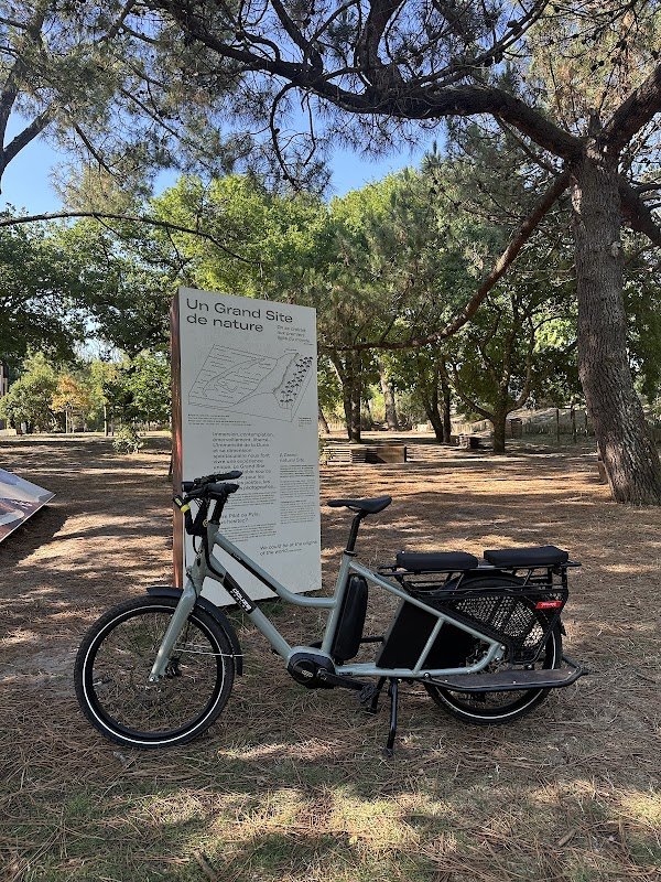 C du Cycle - Arcachon - Location de vélos - Photo 3