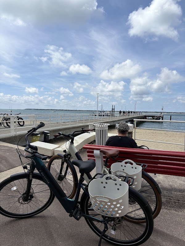 C du Cycle - Arcachon - Location de vélos - Photo 4