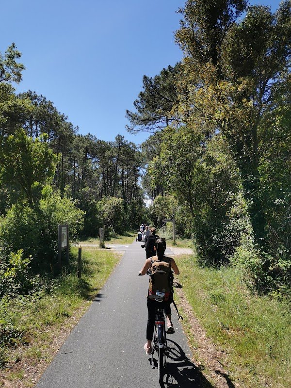 BIKE CAP ZEN - Photo 4