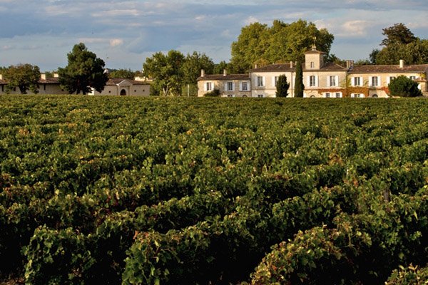 Bordeaux Wine Pilgrim - Photo 3