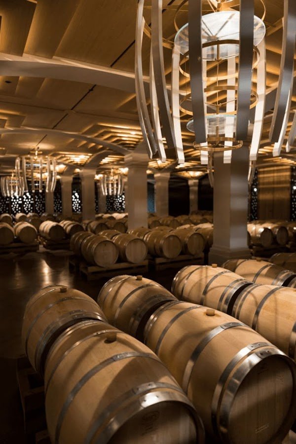 Bordeaux Wine Pilgrim - Photo 4