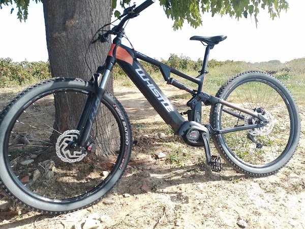 VETHAUCYCLES - Photo 5