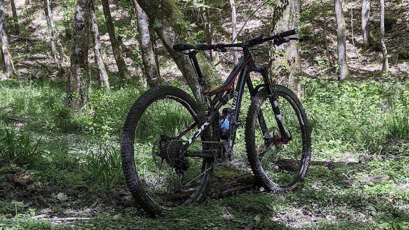 Roule ma poule - Chaille