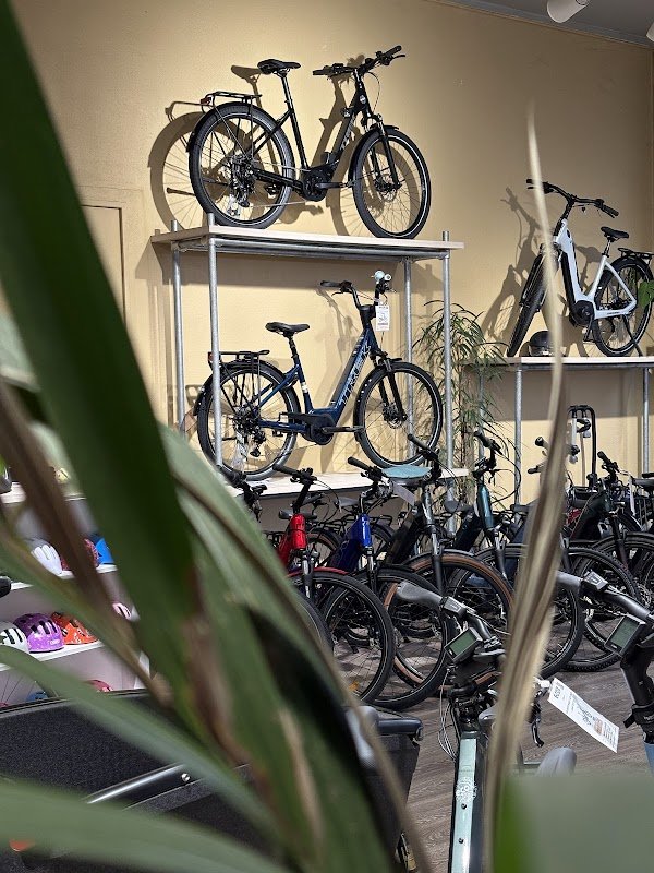 ECOX Lyon | Magasin de Vélo Électrique - Photo 2