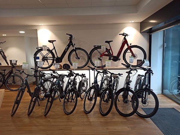 ECOX Francheville | Magasin de Vélo Électrique - Photo 4