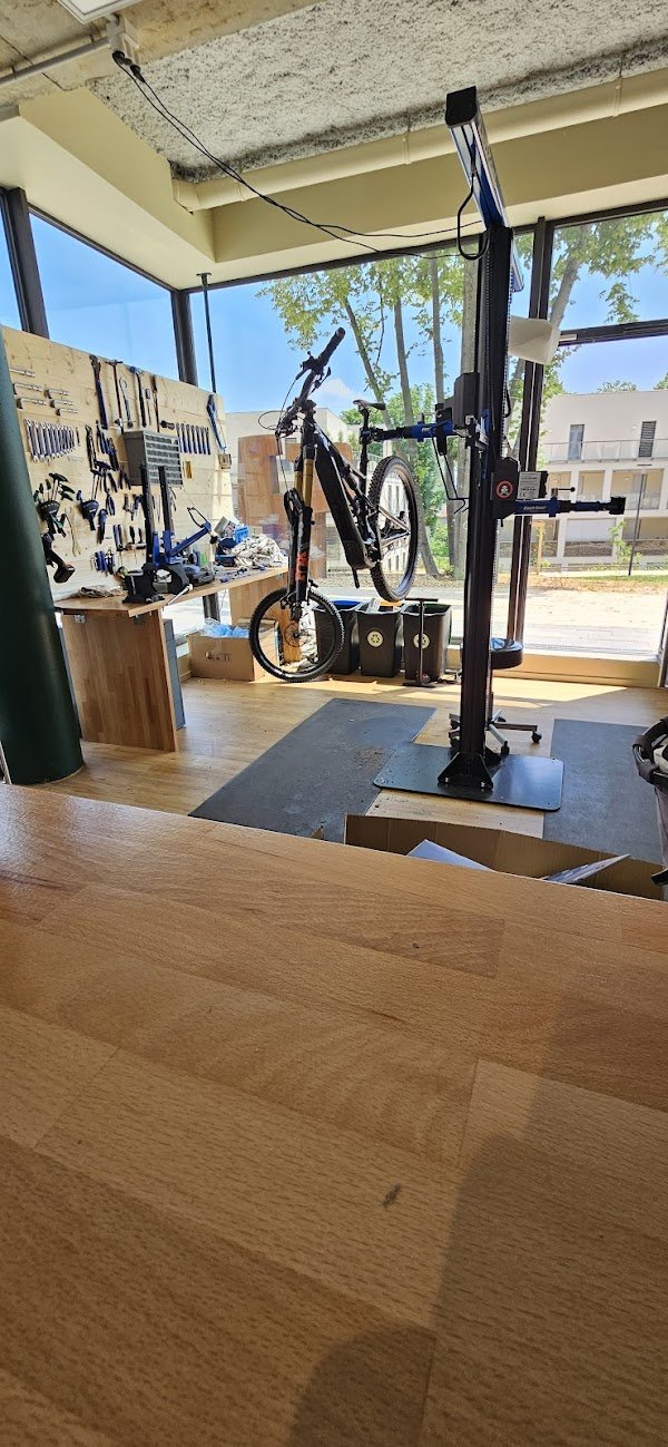 Ecox Caluire | Magasin de Vélo Électrique - Photo 4