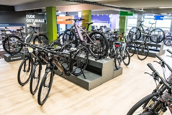 Giant Lyon Caluire - Photo 2