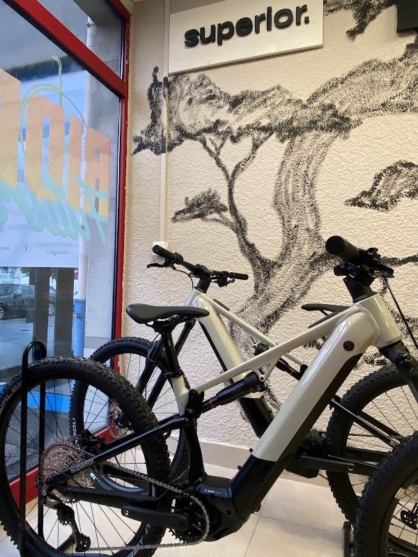 Ride to the future - Magasin et réparation de vélos - Photo 4