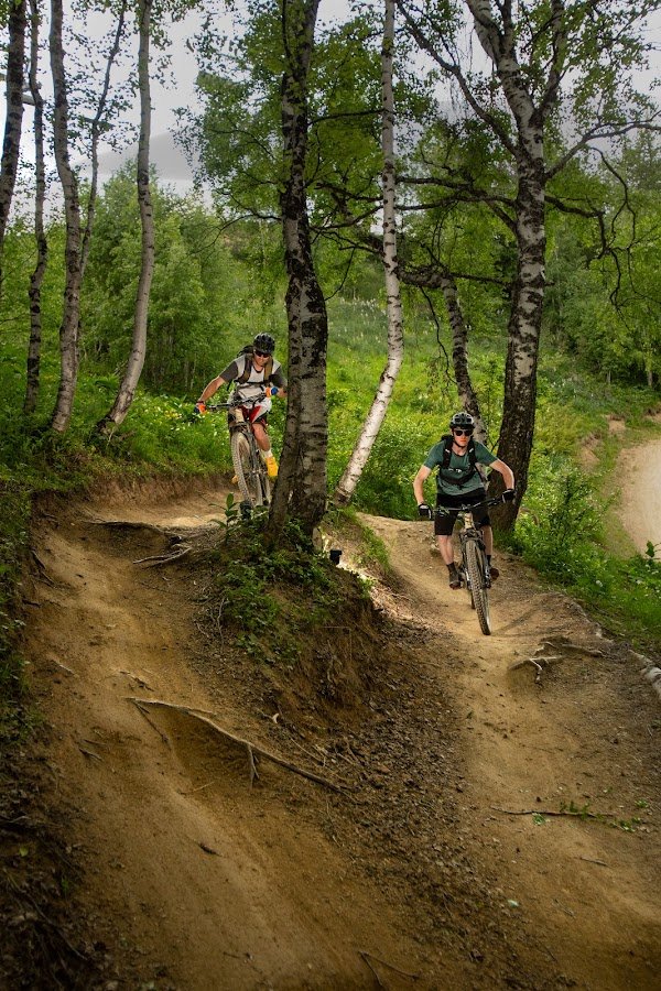 BIM Bike - Excursion et location vélo VTTae et DH - Photo 4