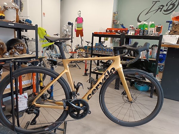 Lion à Bicyclette - Photo 4