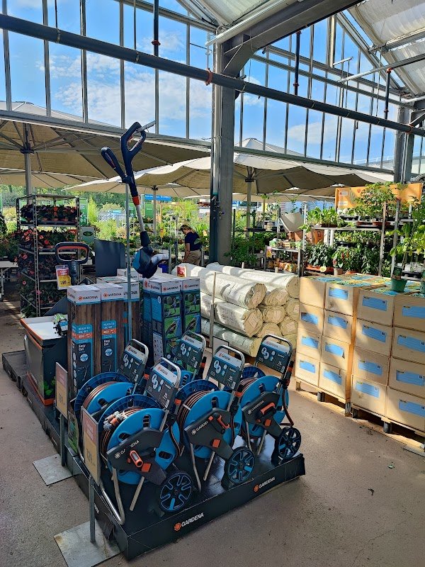 JUMBO Chavannes - Photo 2