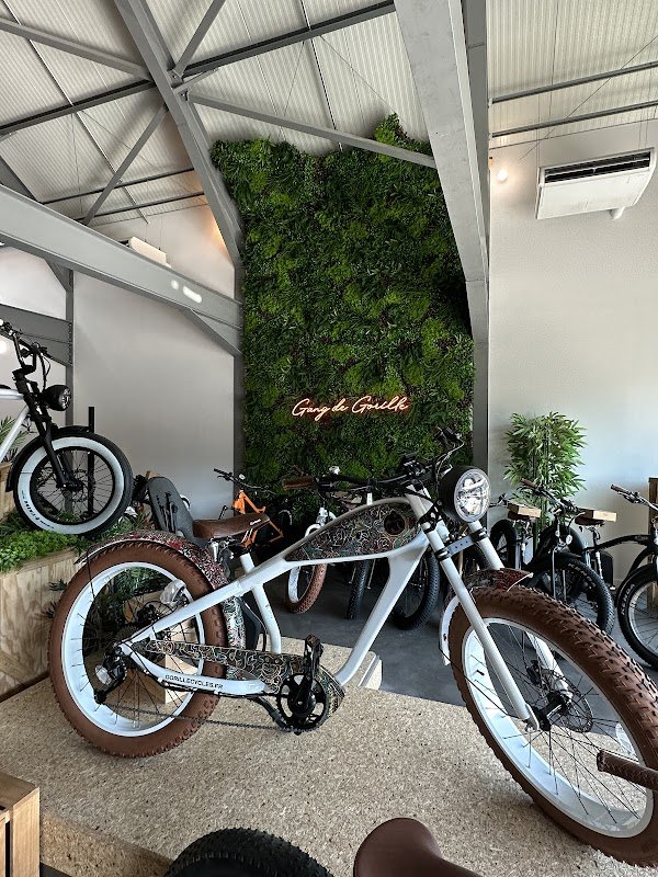 Gorille cycles - Photo 3