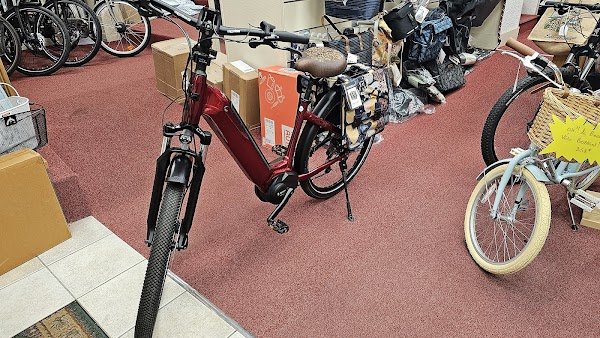 VELO VAL DE LOIRE - Labellisé Location LOIRE A VELO - Photo 2