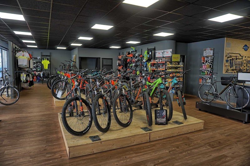 ROANNE BIKE - Specialized Roanne