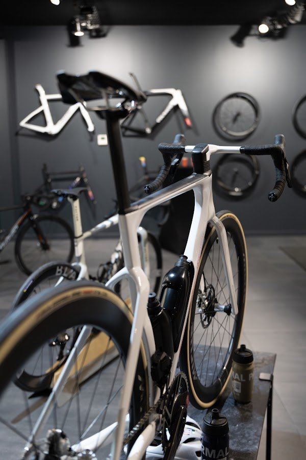 GOLDEN CYCLES - Photo 3