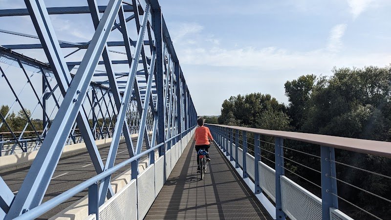 Yann Le Tolguenec / Trainer Bike And Educator À The Mobility