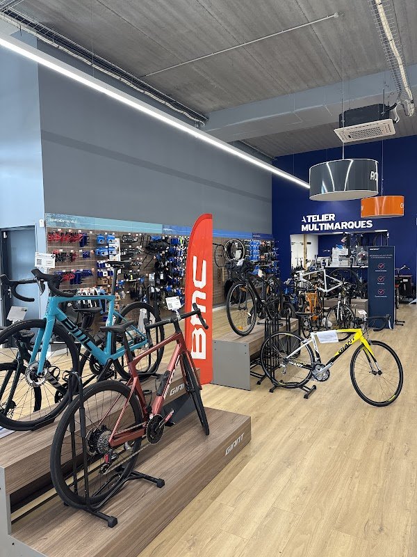 Giant Pornic - Photo 2