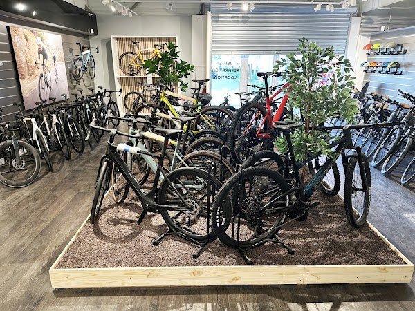 SECTEUR 44 – Magasin de vélos / cycles (vente, réparation, entretien) et accessoires à Savenay (44) - Photo 2