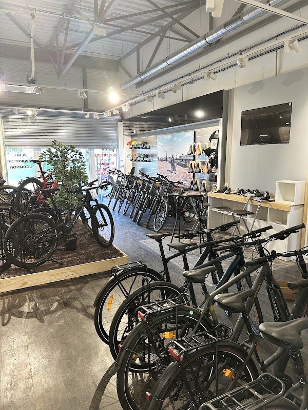 SECTEUR 44 – Magasin de vélos / cycles (vente, réparation, entretien) et accessoires à Savenay (44) - Photo 4