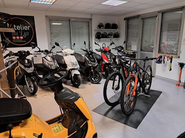 L atelier du lys - Photo 3