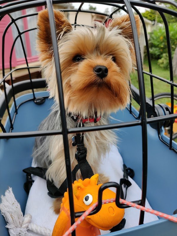 Giant Granville - Photo 3