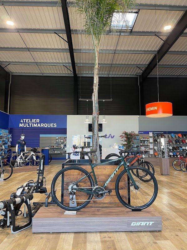 Giant Granville - Photo 4