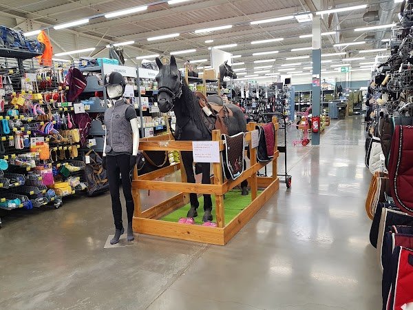 Decathlon Metz Augny - Photo 4