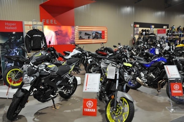 Palmi New Bike Sarl - Photo 2